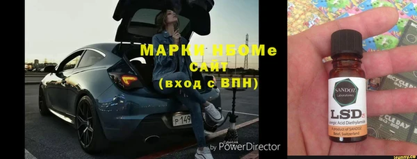 шишки Осташков