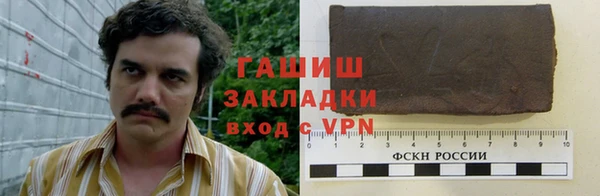 шишки Осташков