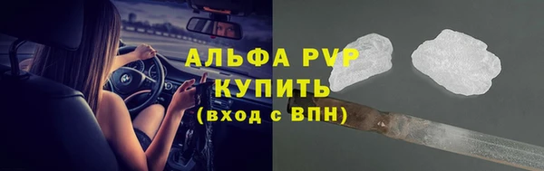 стаф Фёдоровский