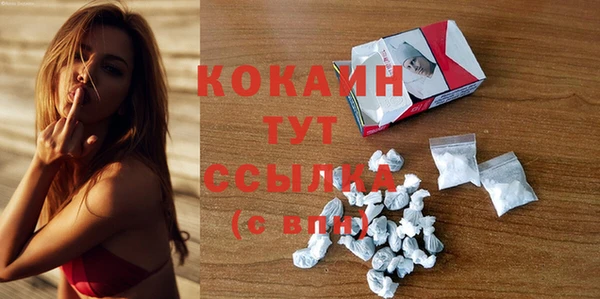 шишки Осташков