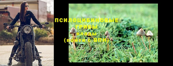 хмурый Пестово