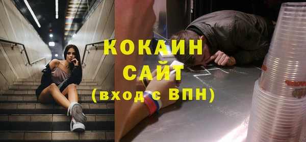 шишки Осташков