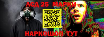 прущие грибы Абакан