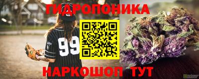прущие грибы Абакан