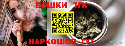 прущие грибы Абакан