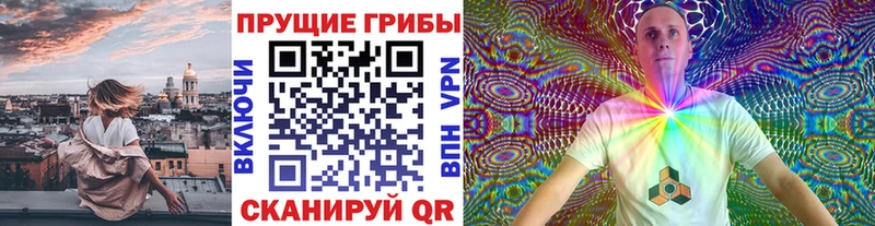 omg ССЫЛКА  Кунгур  Псилоцибиновые грибы Cubensis 