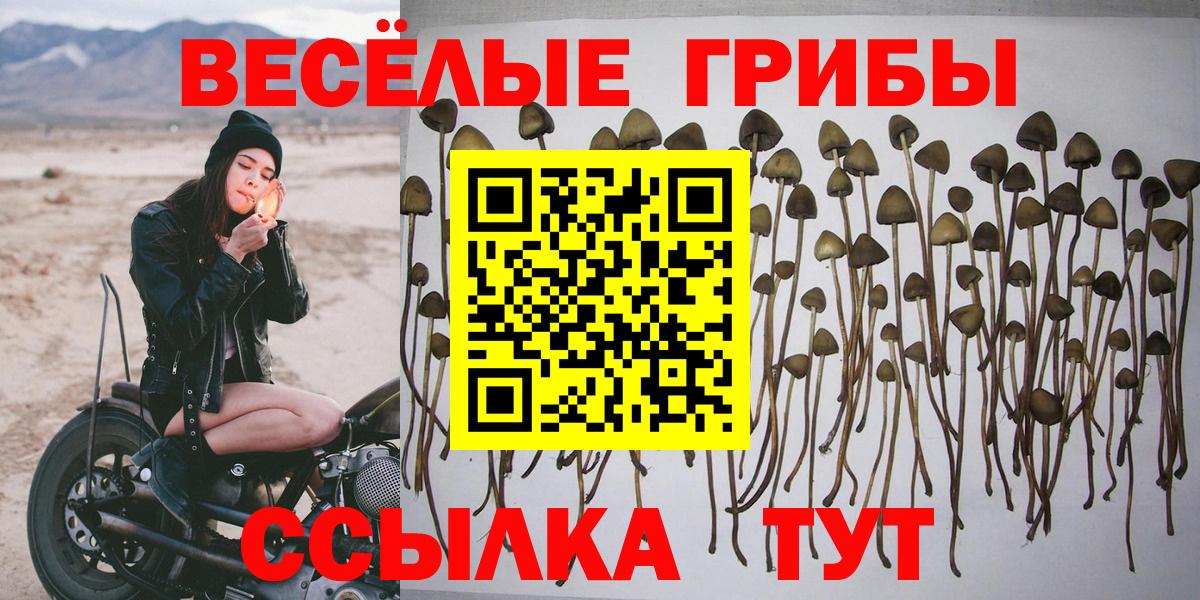 Кунгур  Псилоцибиновые грибы Psilocybine cubensis  Галлюциногенные грибы Psilocybine cubensis  Вход с VPN 